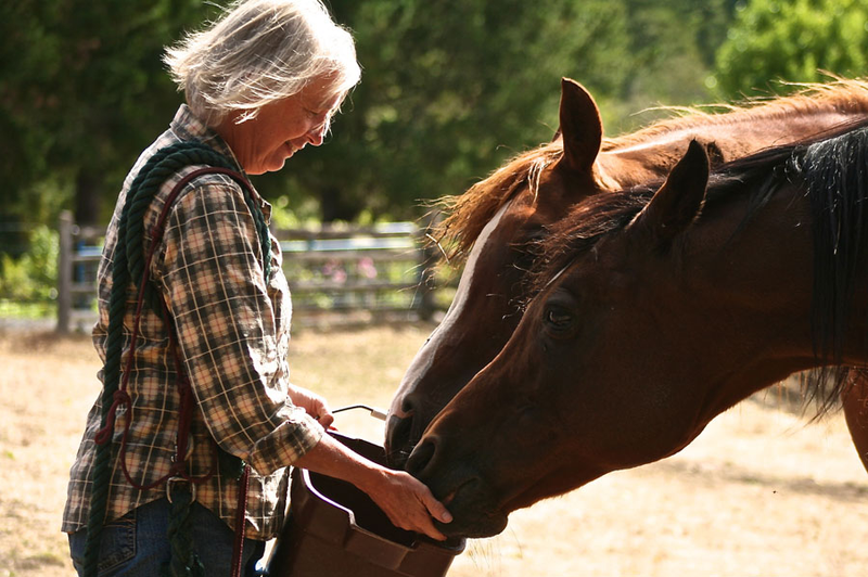 Illustration for article titled Meet the Badass Mother-Daughter Duo Who Conquered the Pony Express Trail